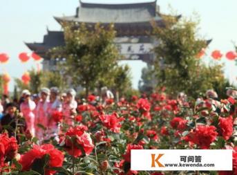 2月去云南适合吗，适合去哪几个景点