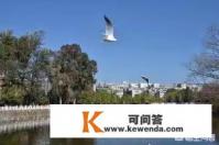年底旅游合适吗