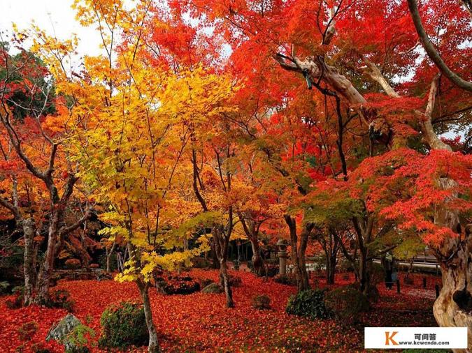 秋季正是旅游好季节，哪些景点值得去游玩