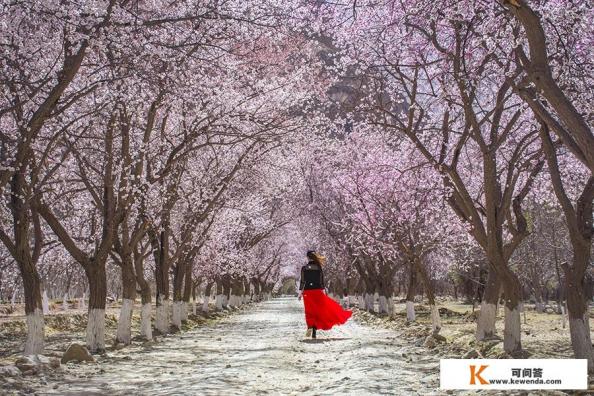 我今年想去新疆旅游,几月份去最好看,大约得需多少天 我今年想去新疆旅游,几月份去最好看,大约得需多少天