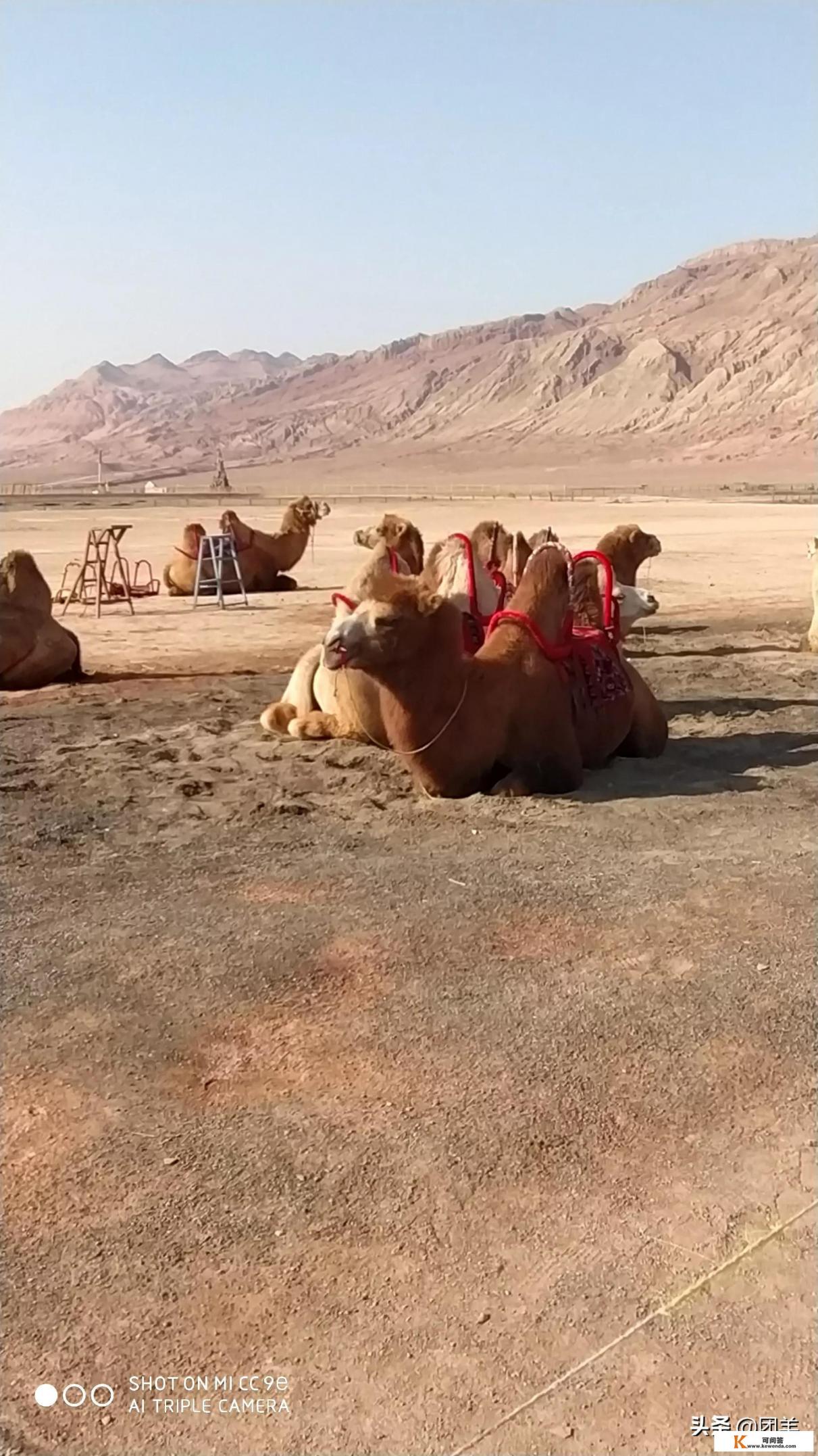 外出旅游一般要花多少钱