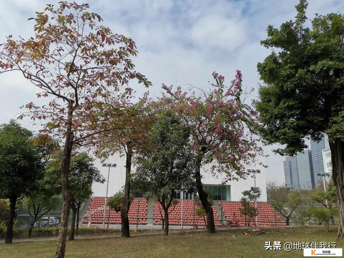 我从业旅游业已经28年，也总在思考，旅游的意义是什么，您觉得是什么？为什么