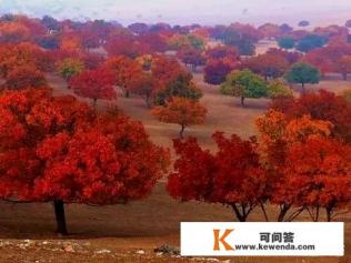 影响人们旅游动机的主要因素有哪些
