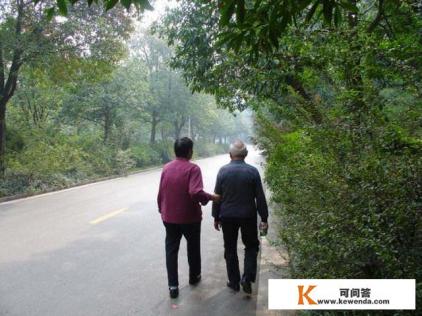 与父母出游文案