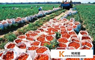想回农村老家，却是有家不能回，我该怎么办