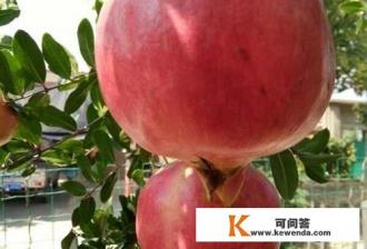 林徽因说过不要错过一个爱你的人