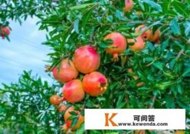 林徽因说过不要错过一个爱你的人