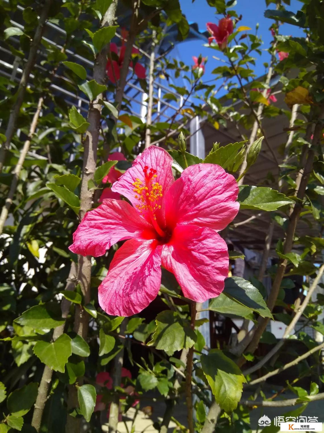 去云南旅游什么季节最合适
