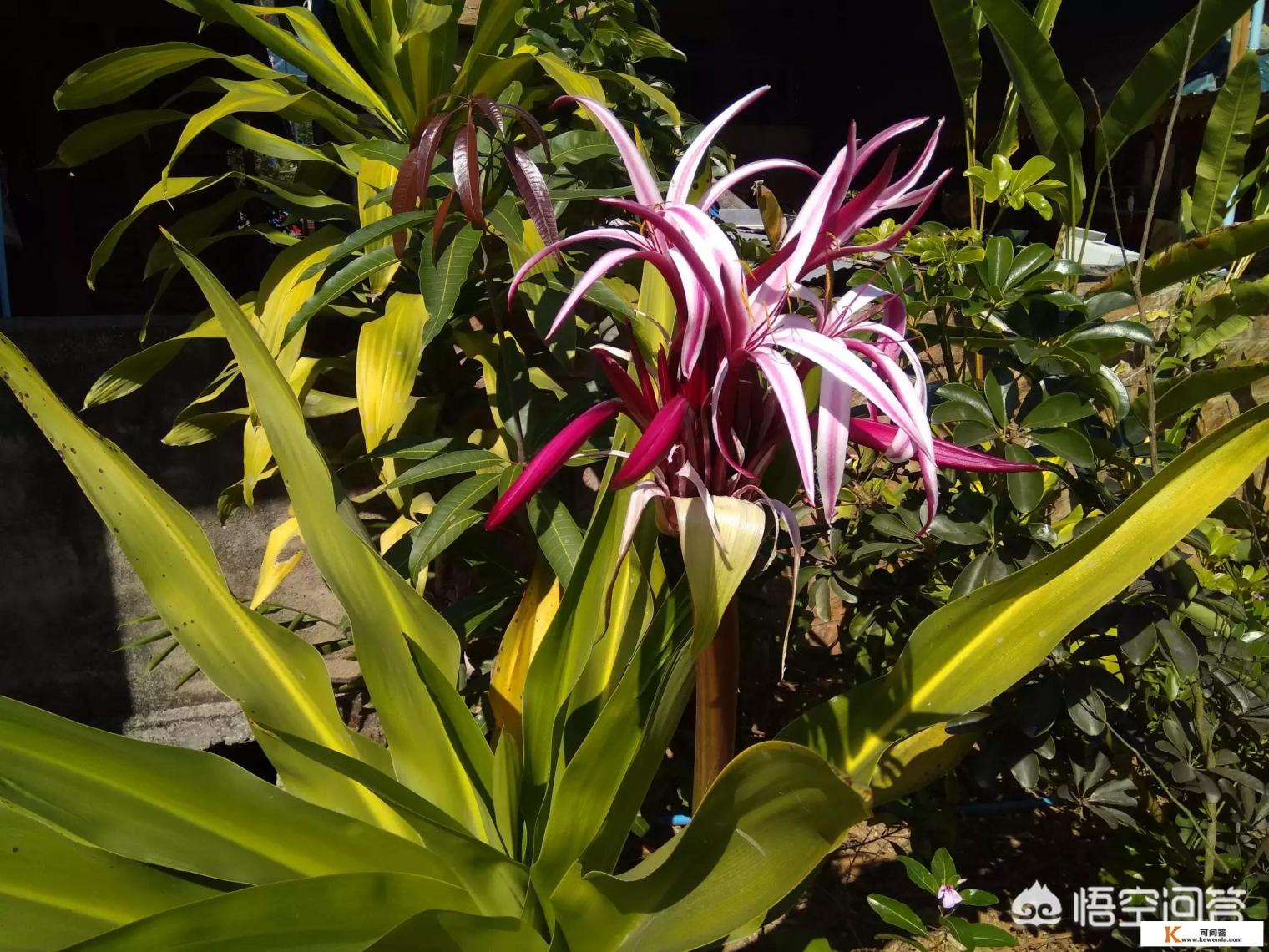 去云南旅游什么季节最合适