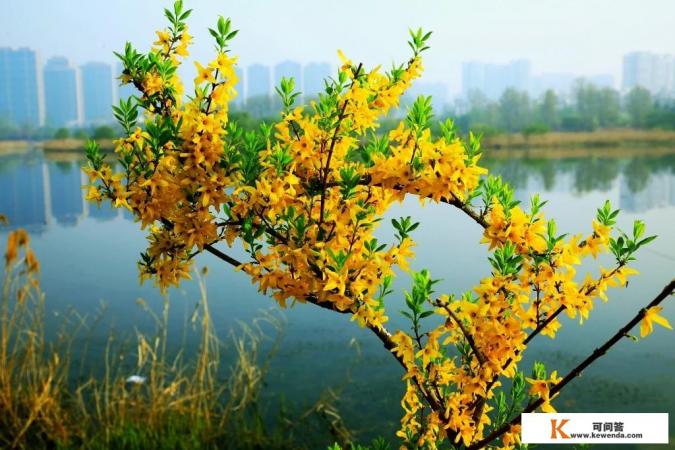 临沂有哪些免费的景区