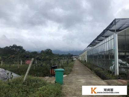 农业园区规划中，服务设施的建设有哪些要求