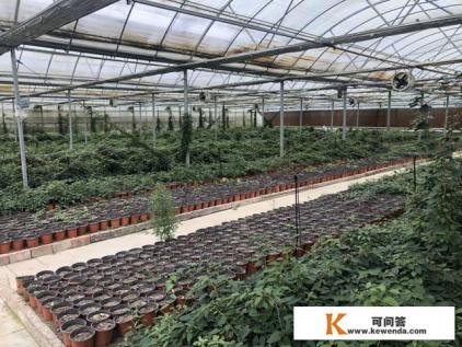 农业园区规划中，服务设施的建设有哪些要求