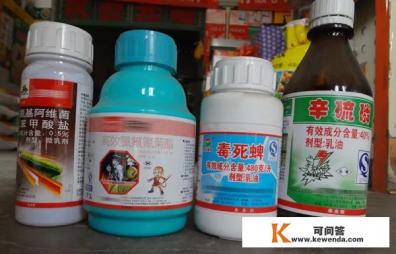 俞风城哪章开始追妻
