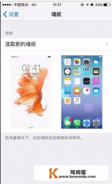 苹果怎么下载汤圆酱的动态壁纸，求助