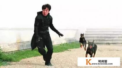 一直不很理解，怕狗的人都是因为什么原因怕狗的，来说一说好嘛