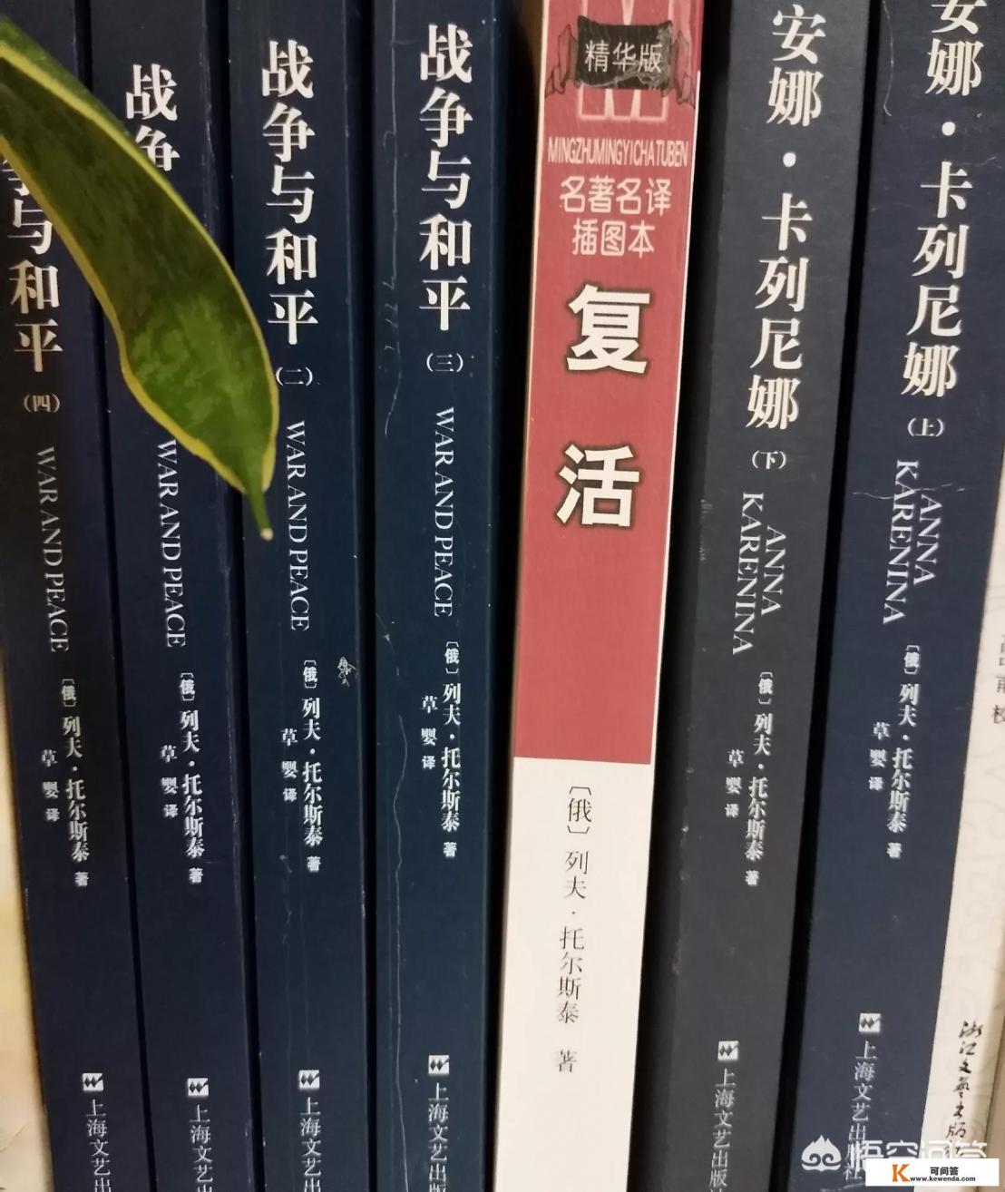 推荐几本俄国文学