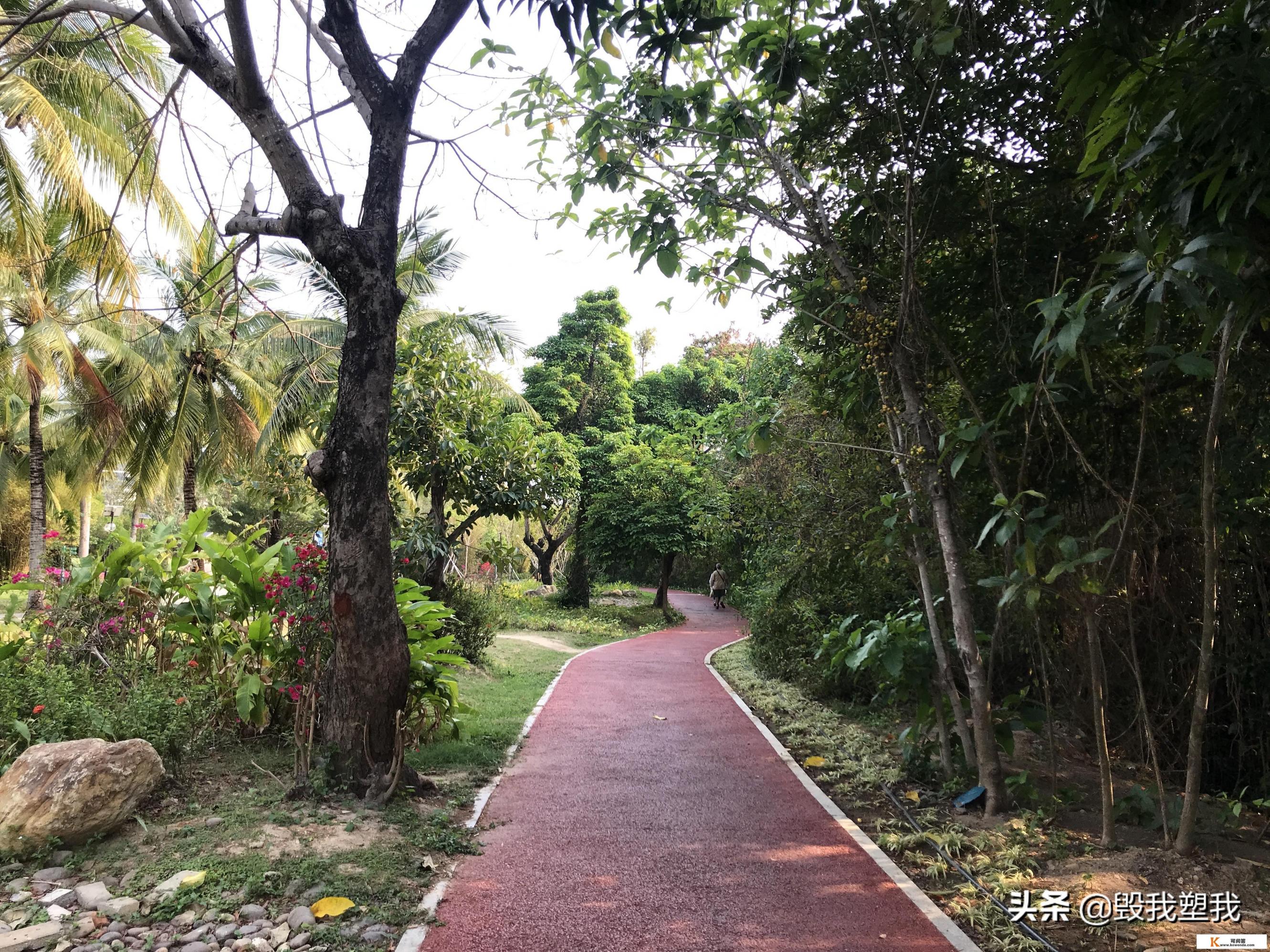 去海南三亚旅游几月份最好