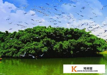 含有鸟和人的五言诗句