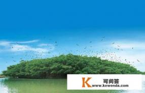 含有鸟和人的五言诗句