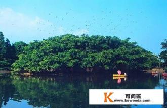 含有鸟和人的五言诗句
