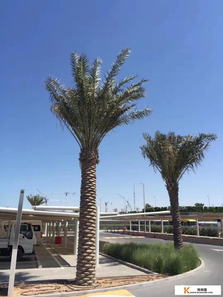云旅游和智慧旅游的区别
