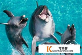 去澳大利亚昆士兰州旅游，应该怎么玩