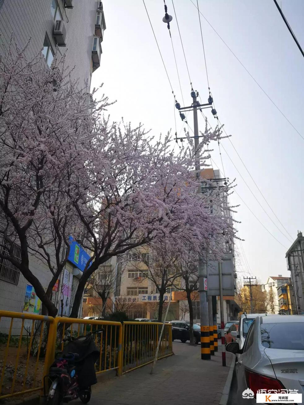 选择威海定居好还是烟台定居好