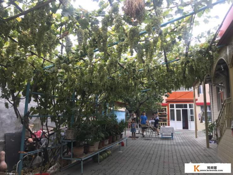 你认为生态旅游的前景如何