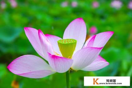 旅游文化传媒公司经营范围