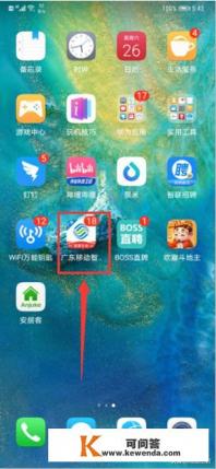 除了1008611还有什么可以查询流量 除了1008611还有什么可以查询流量