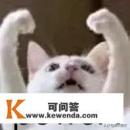 上班的时候一直浏览网页,还打游戏的人,你怎么看 上班的时候一直浏览网页,还打游戏的人,你怎么看