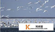 赤峰旅游攻略必玩的景点 赤峰旅游攻略必玩的景点