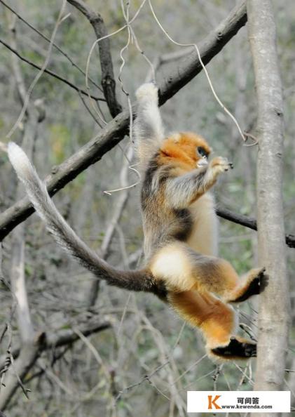 十一陇南旅游最佳去处 十一陇南旅游最佳去处
