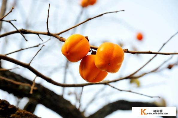 十一陇南旅游最佳去处 十一陇南旅游最佳去处