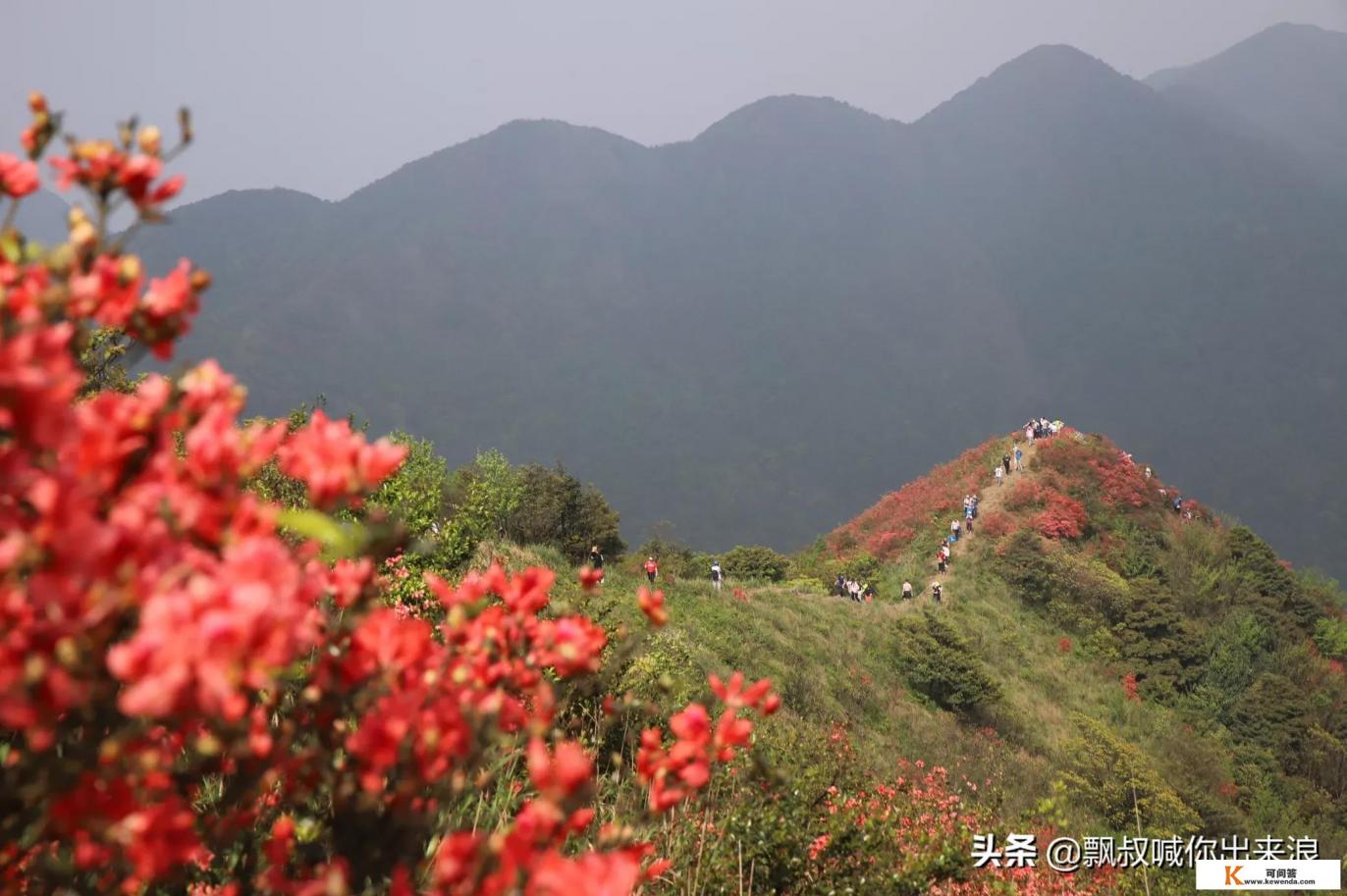 适合散心的旅游地方 适合散心的旅游地方