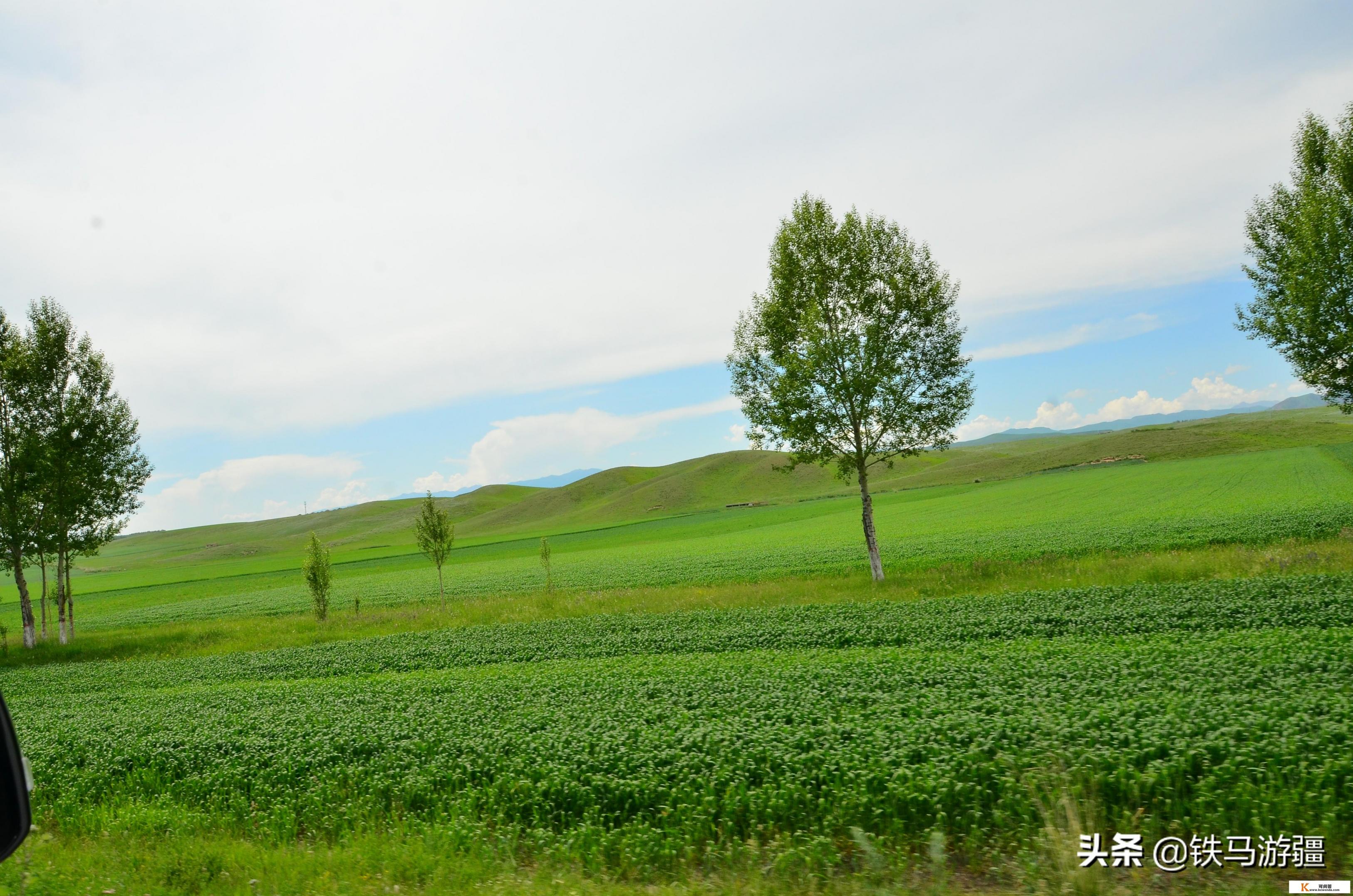 【原创】准备来一次说走就走的旅行，伊犁自驾游七日时间够用吗