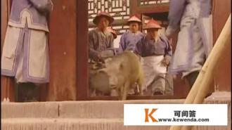 《雍正王朝》年羹尧的火头军预备的小炒肉和大白菜是怎么做的？说明了什么问题