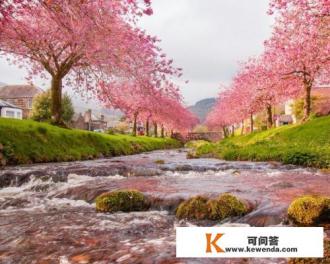 去日本旅游最多能带日元多少