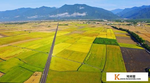 台湾的地理和气候一年可以种几季稻