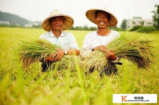 台湾的地理和气候一年可以种几季稻