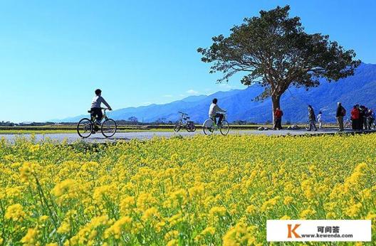 台湾的地理和气候一年可以种几季稻