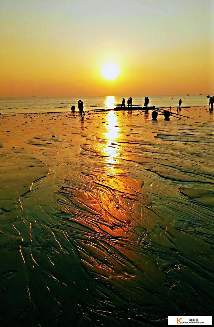 旅游专业毕业后有哪些出路