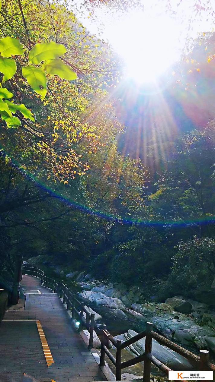 旅游专业毕业后有哪些出路