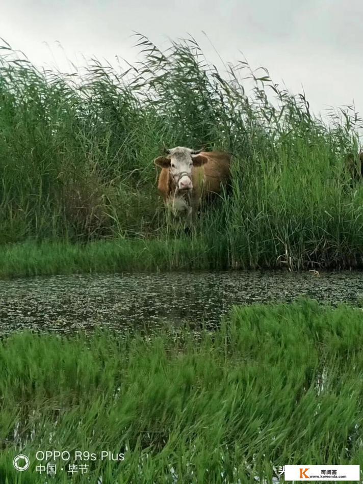 有哪些适合八月份带孩子去旅游的地方