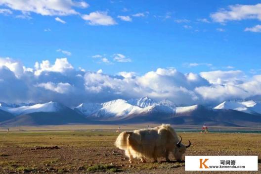 去西藏旅游是跟团去,还是自己去 去西藏旅游是跟团去,还是自己去