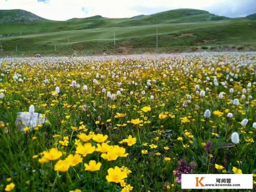 去西藏旅游是跟团去,还是自己去 去西藏旅游是跟团去,还是自己去