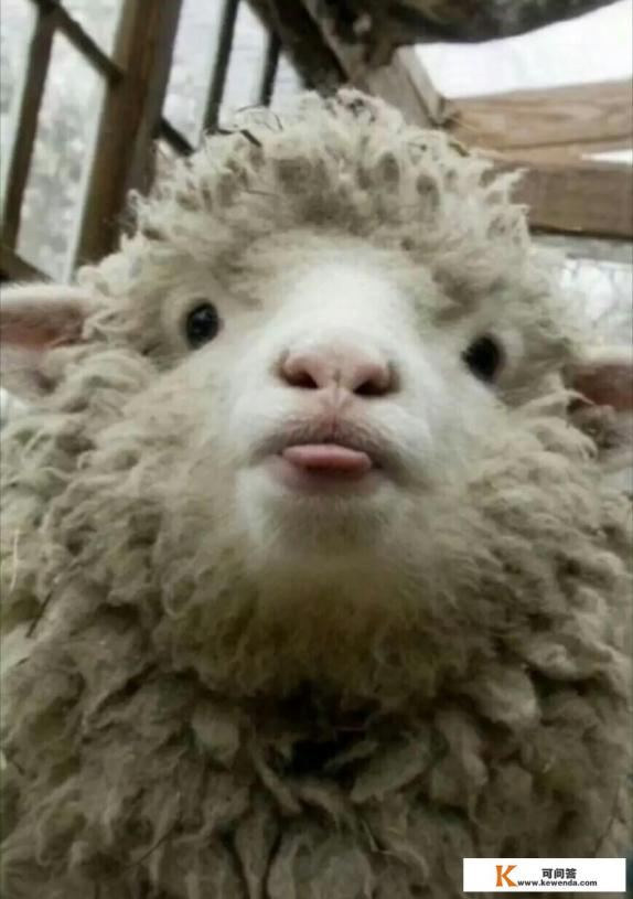 怎样甩掉假闺蜜 怎样甩掉假闺蜜