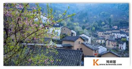 为什么有的人出去旅游要带两台单反甚至三台单反