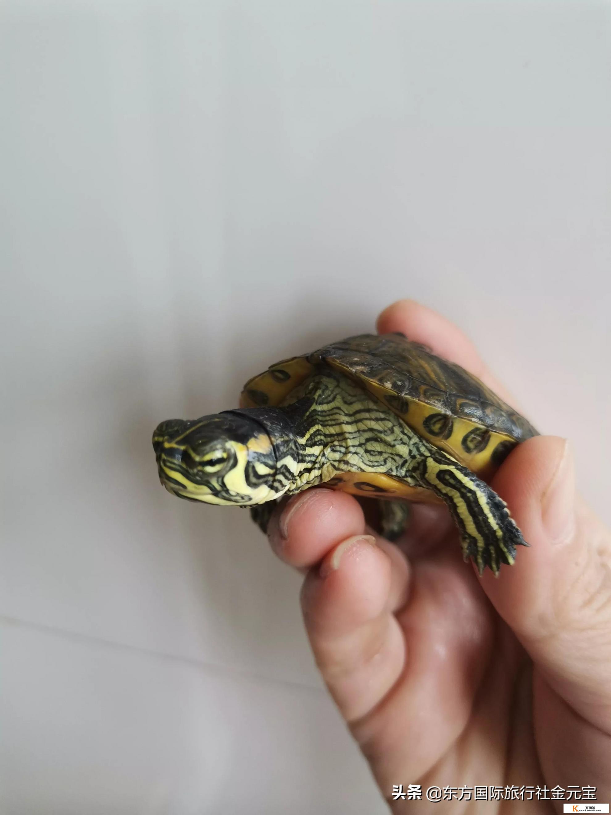 网上约伴旅游靠谱吗 网上约伴旅游靠谱吗