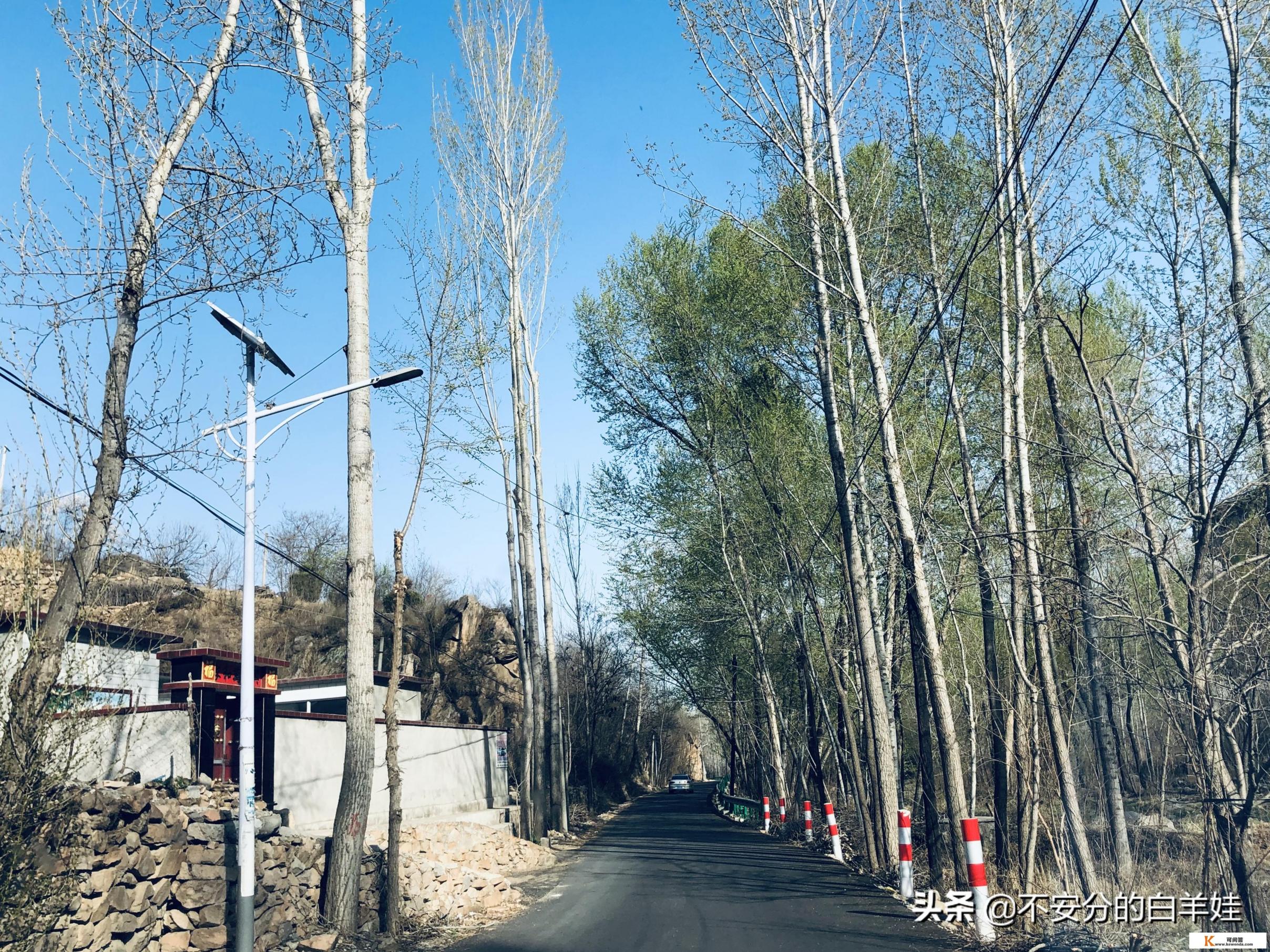 保定一日游有什么推荐的